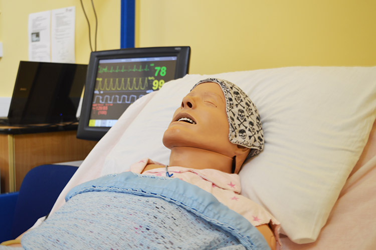 simman-close-up