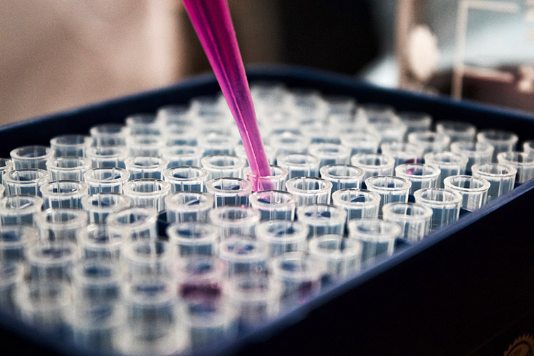 Pink liquid being syringed into a rack of test tubes